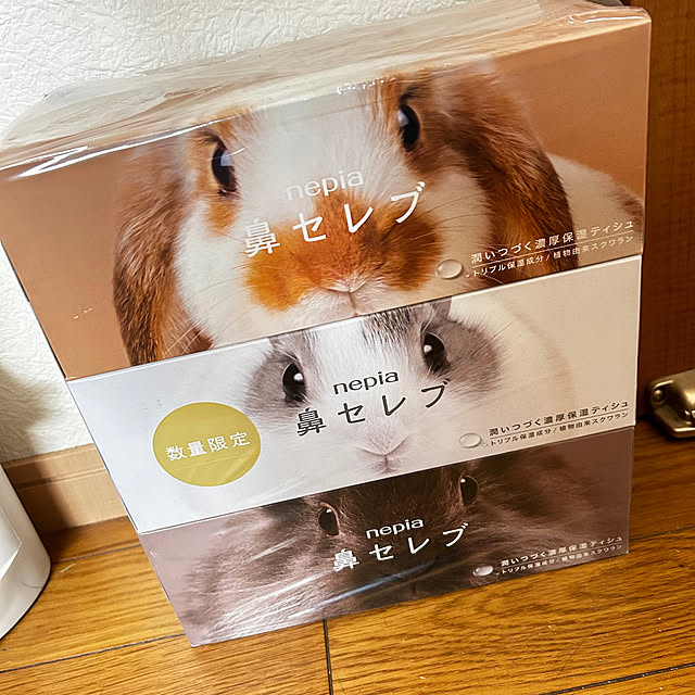 prelumoさんの実例写真