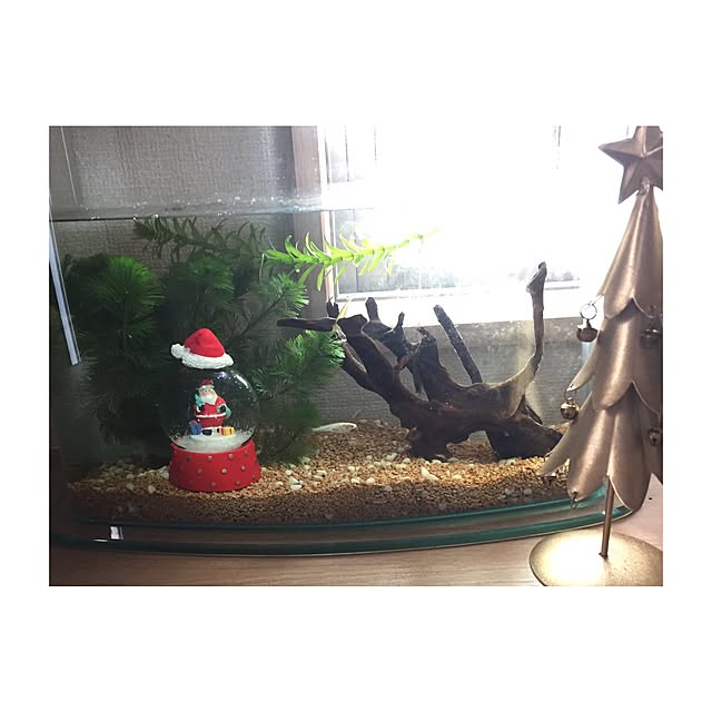 pochita.1117さんの実例写真