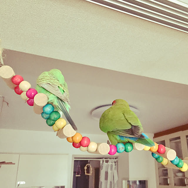 toratanさんの実例写真