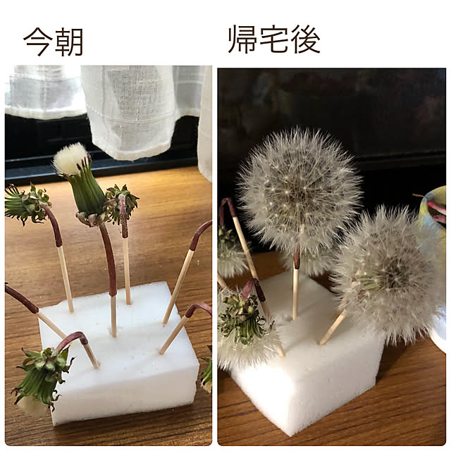 CoffeeHouseさんの実例写真