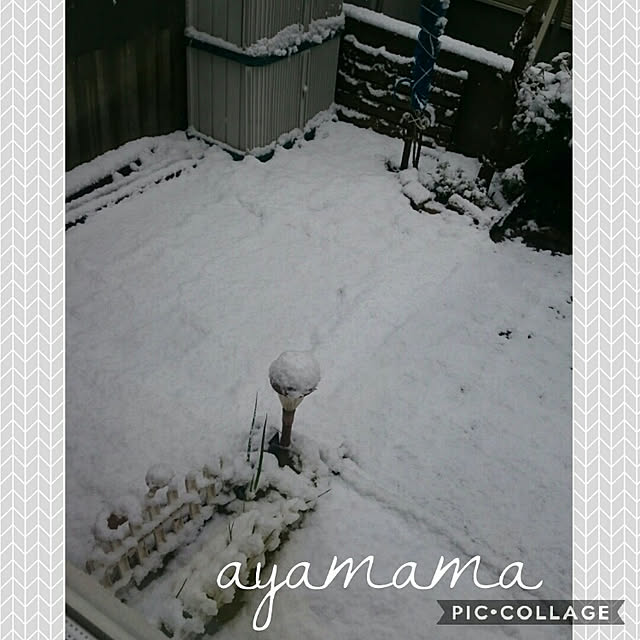 ayamamaさんの実例写真