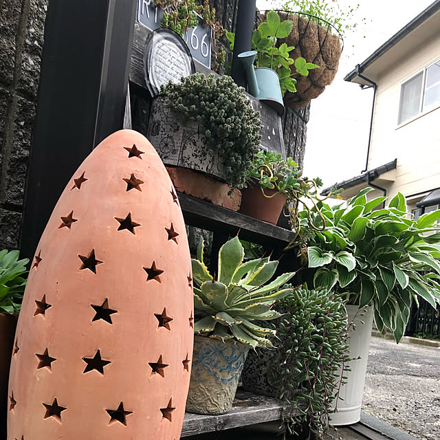実例写真