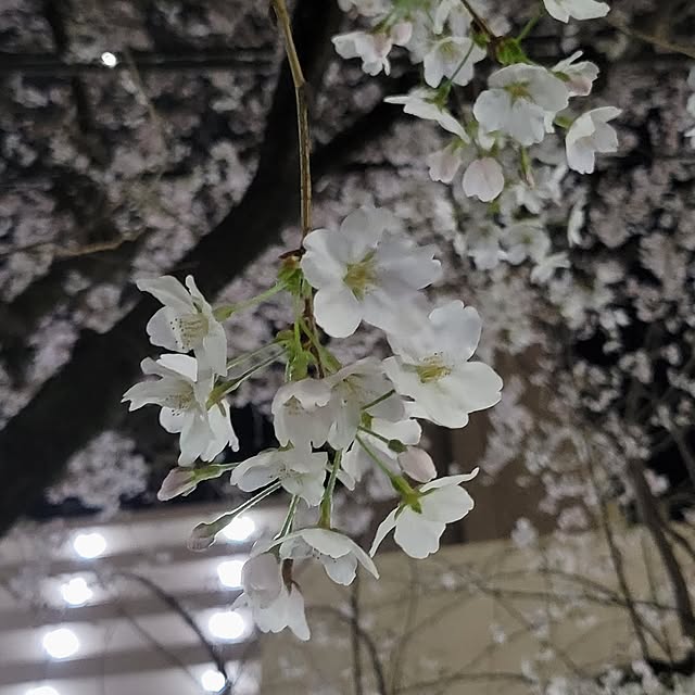 akiak.3さんの部屋