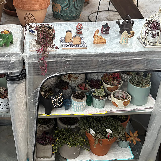 monasanさんの部屋