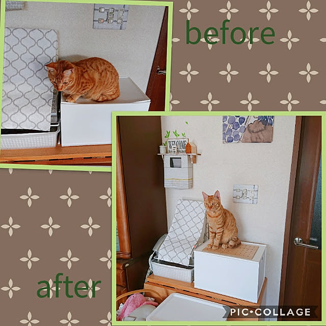kikiさんの実例写真