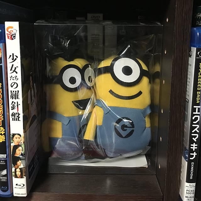 Shigeさんの実例写真