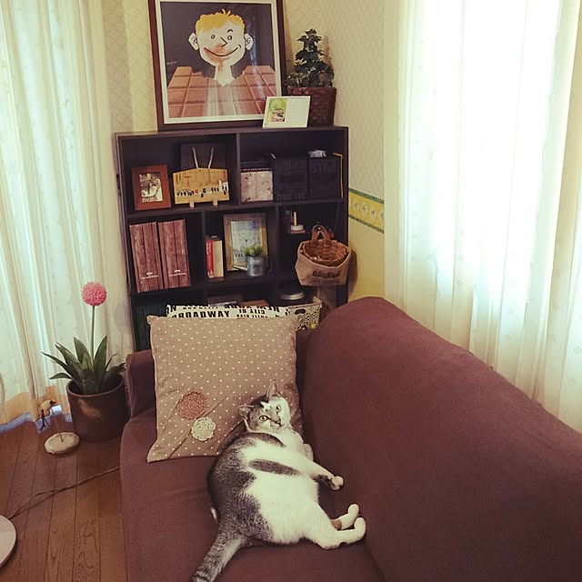 furlaさんの実例写真