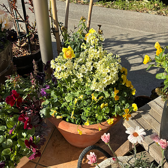 leepo5さんの実例写真