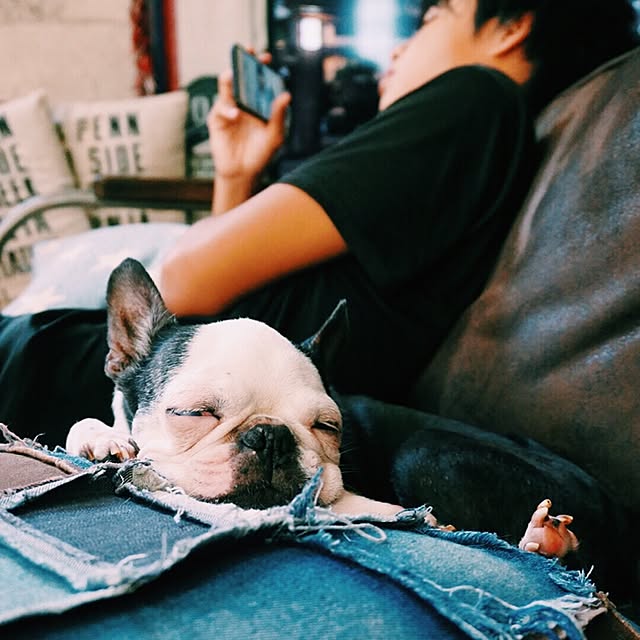 mie3855cocoさんの実例写真