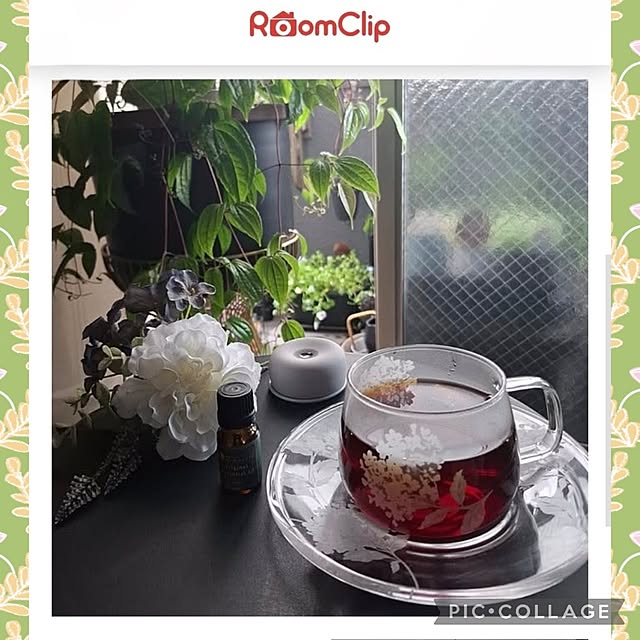 noaさんの実例写真