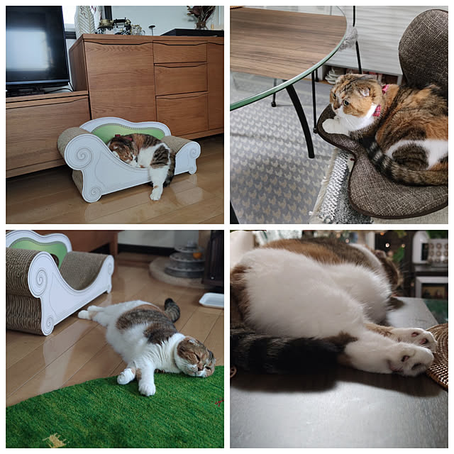 hiro3さんの実例写真