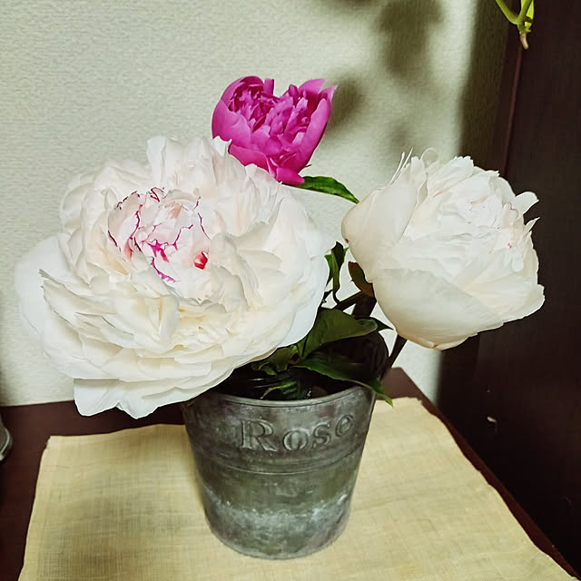 yukkoさんの実例写真