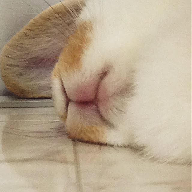 ratekoさんの実例写真
