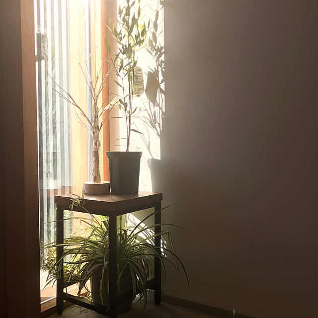 home.yaさんの実例写真