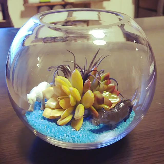 noriさんの実例写真