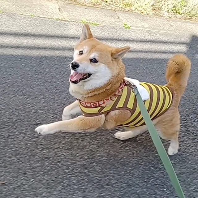 nanaさんの部屋