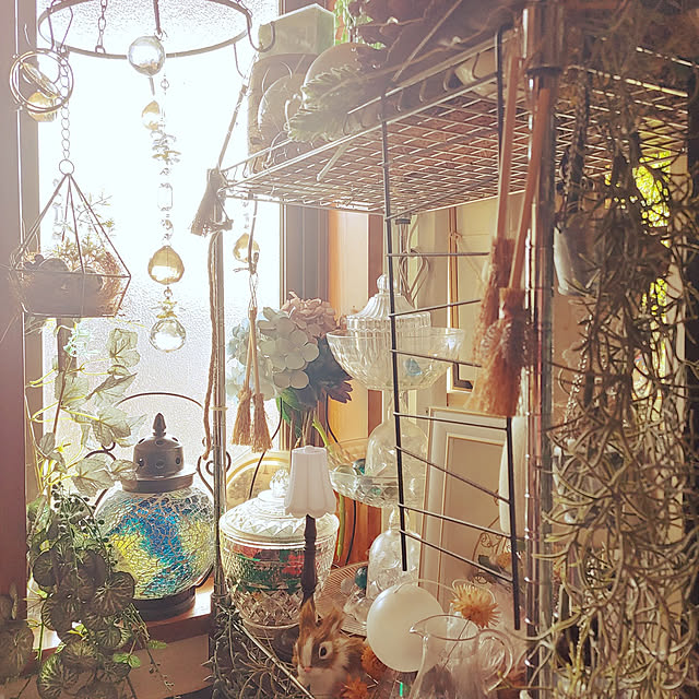 sunflowerさんの実例写真