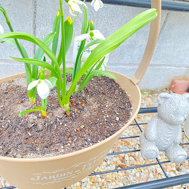 primさんの部屋