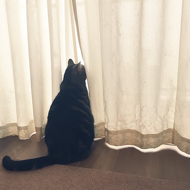 mikomaruさんの実例写真