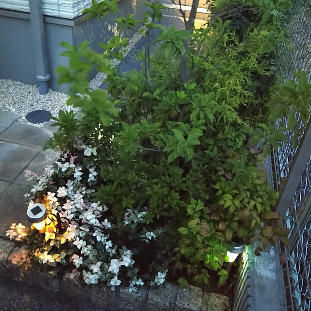 shizakura_さんの実例写真