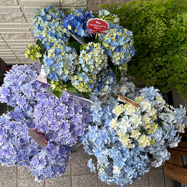 skhrさんの実例写真
