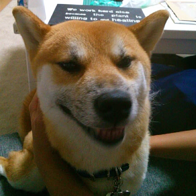 kotaさんの実例写真
