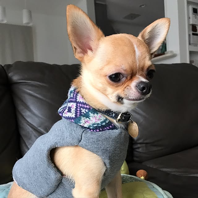 aleomalさんの実例写真
