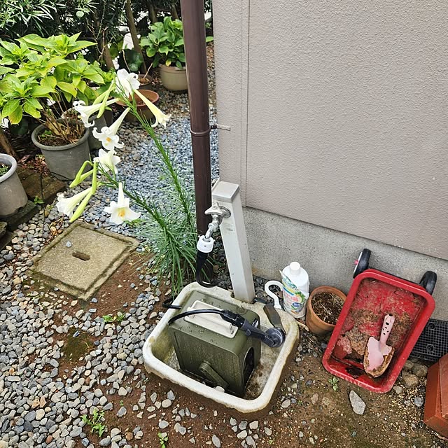 fuchan0930さんの部屋
