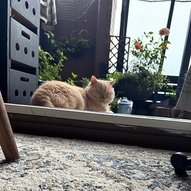 naokoさんの部屋