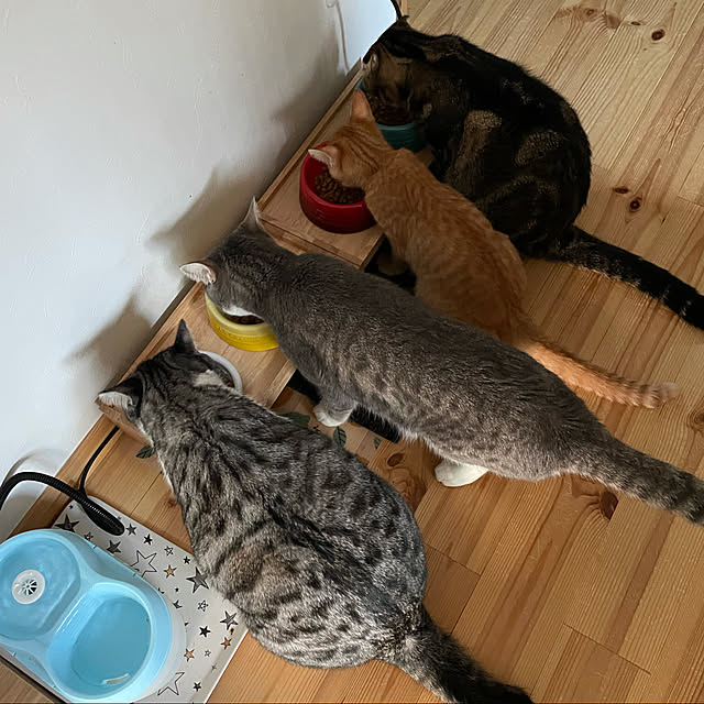 yucciさんの実例写真