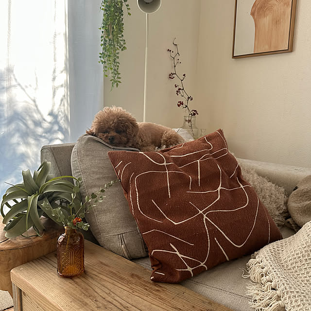 Tarutoさんの部屋