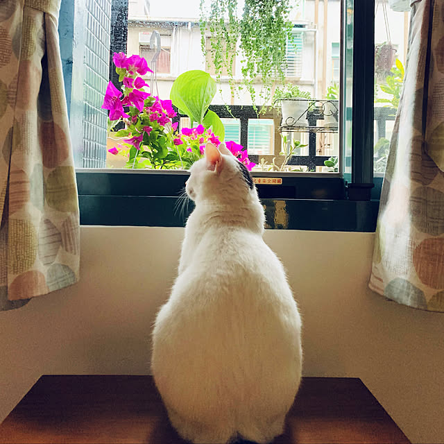 pcu110さんの実例写真