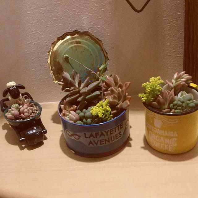 anadorunaさんの実例写真