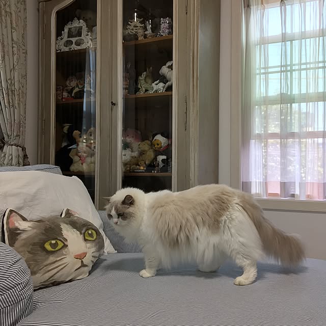 yuchiさんの実例写真
