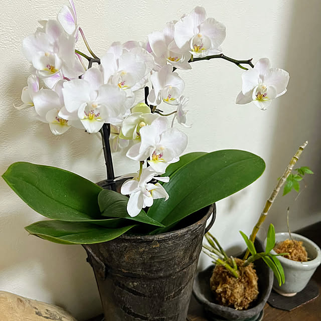 kuuさんの部屋
