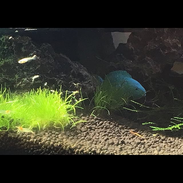 NaokiNishioさんの実例写真