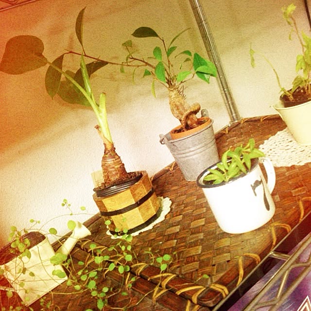 Nansyさんの実例写真
