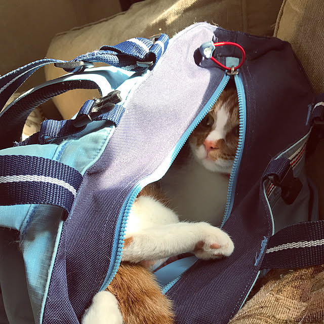 yurincaさんの実例写真