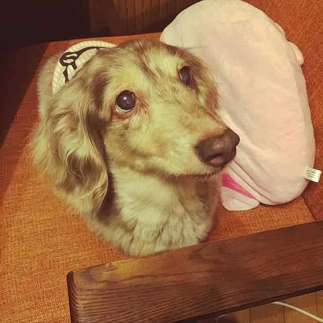 Yasuyukiさんの実例写真