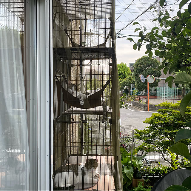 Lufuさんの実例写真