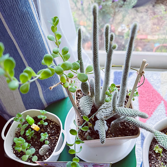 takakoさんの部屋