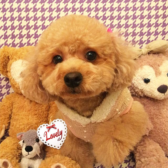HappyRoseさんの実例写真