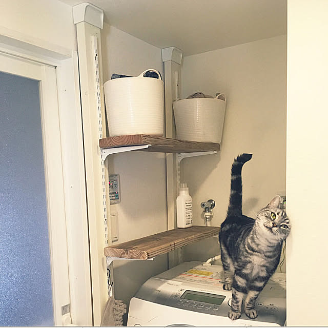 mikomaruさんの実例写真