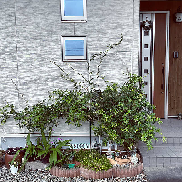 chiiyanさんの部屋