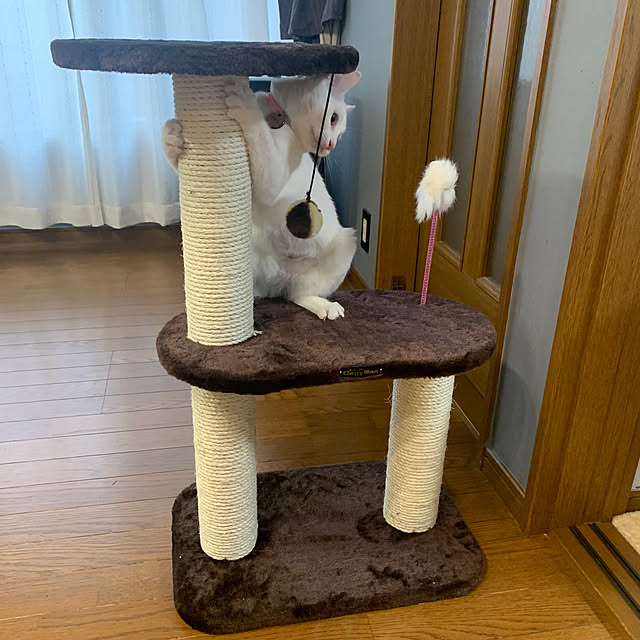 keiさんの実例写真