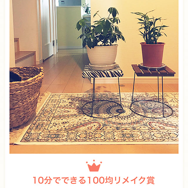ozさんの実例写真