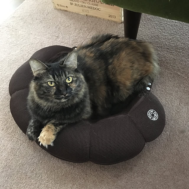 mikomaruさんの実例写真