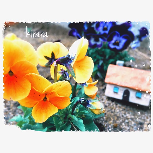kiraraさんの実例写真