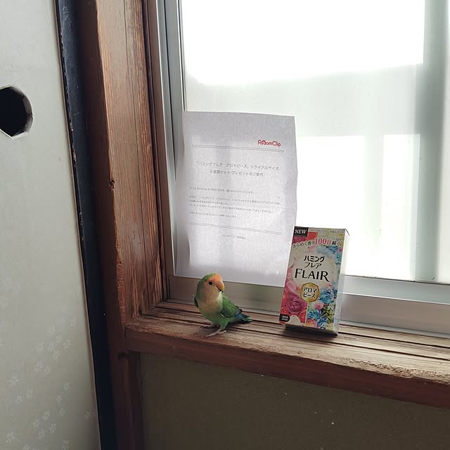 aoinokimiさんの実例写真