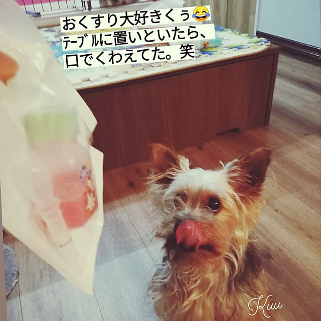 fujioさんの実例写真